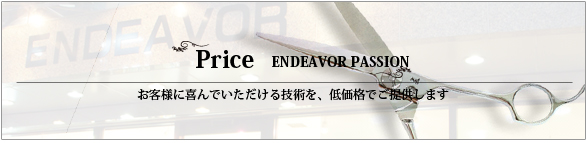 Price ENDEAVOR PASSION qlɊłZpAቿił񋟂܂B